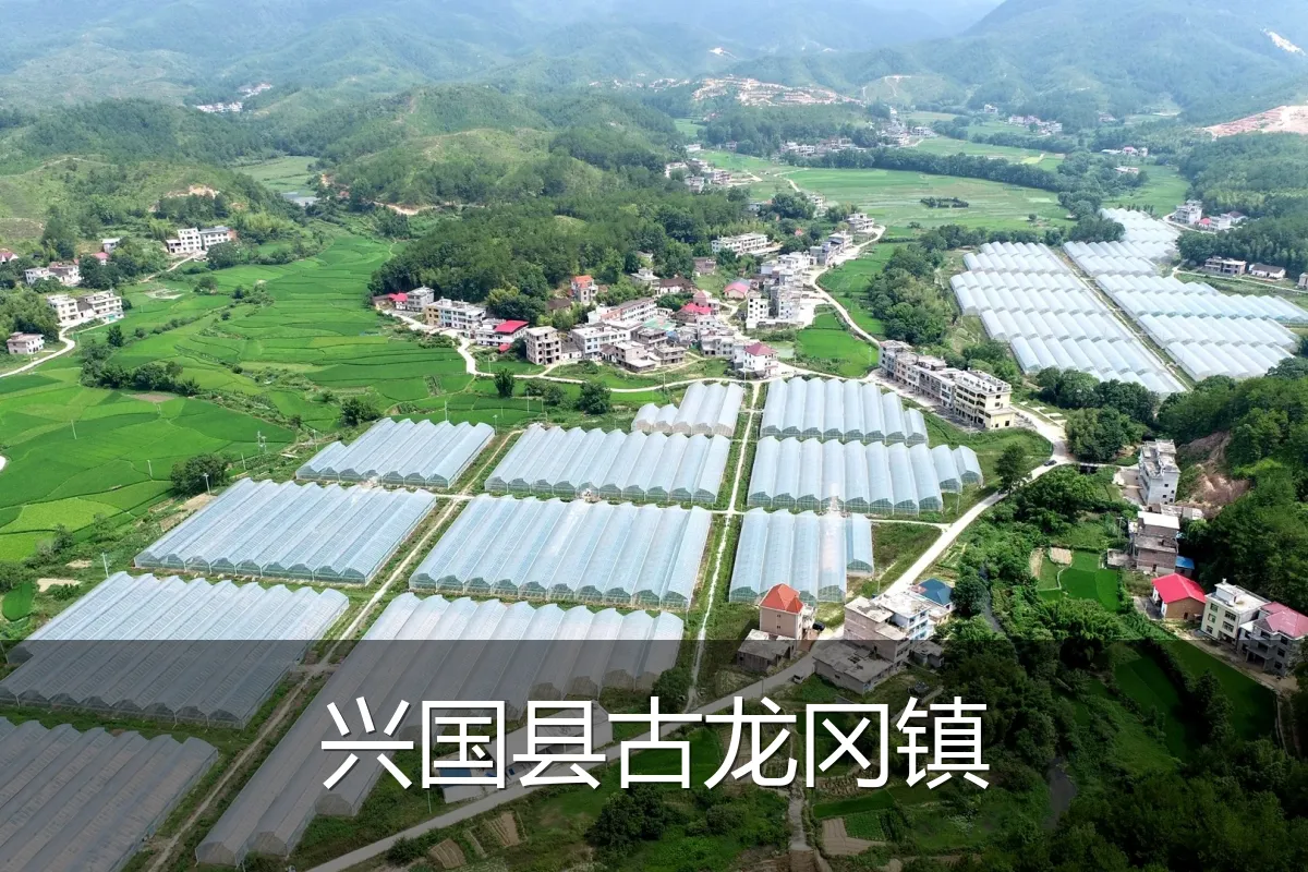 兴国县古龙冈镇