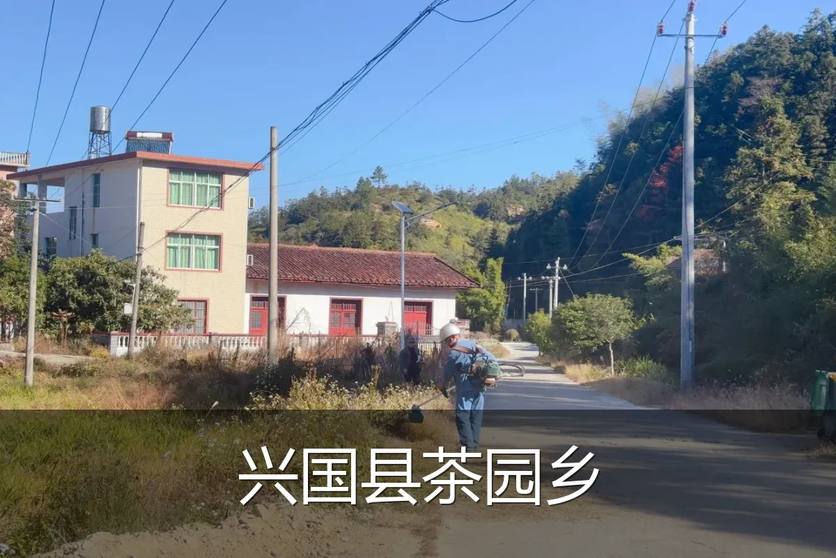 兴国县茶园乡