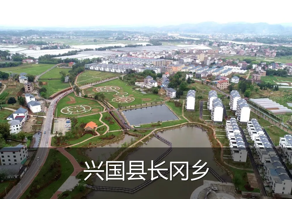 兴国县长冈乡