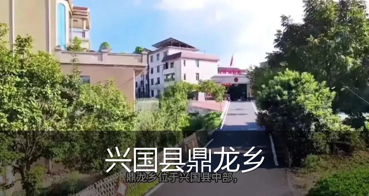 兴国县鼎龙乡